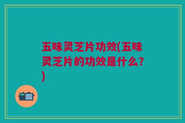 五味灵芝片功效(五味灵芝片的功效是什么？)