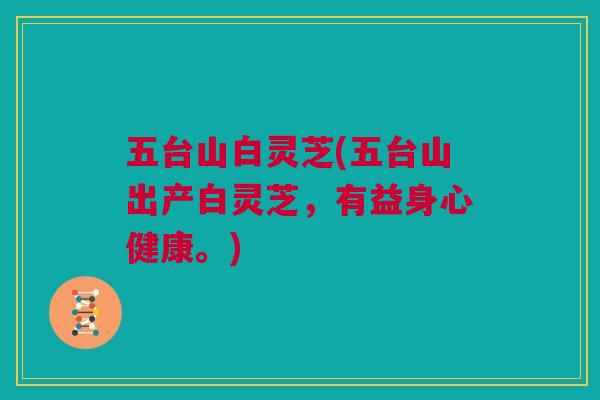 五台山白灵芝(五台山出产白灵芝,有益身心健康。) 五台山白灵芝(五台山出产白灵芝,有益身心健康。)