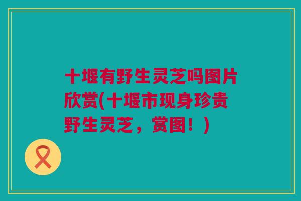 十堰有野生灵芝吗图片欣赏(十堰市现身珍贵野生灵芝，赏图！)