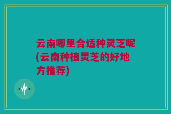 云南哪里合适种灵芝呢(云南种植灵芝的好地方推荐) 云南哪里合适种灵芝呢(云南种植灵芝的好地方推荐)