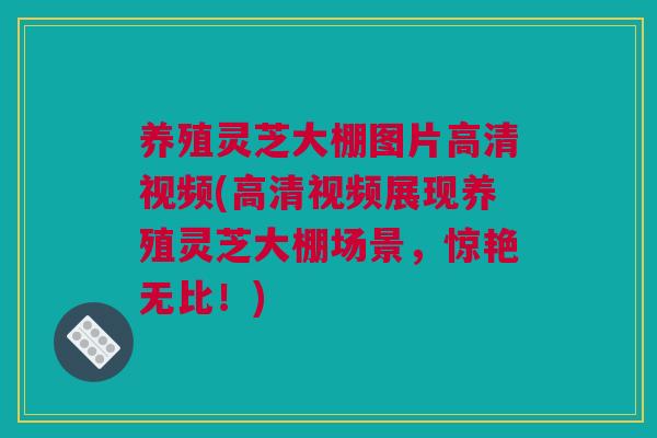 养殖灵芝大棚图片高清视频(高清视频展现养殖灵芝大棚场景，惊艳无比！)