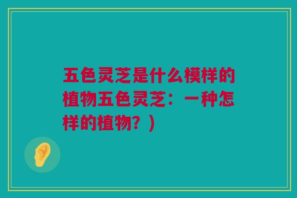 五色灵芝是什么模样的植物五色灵芝:一种怎样的植物?) 五色灵芝是什么模样的植物五色灵芝:一种怎样的植物?)