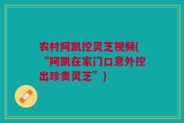 农村阿凯挖灵芝视频(“阿凯在家门口意外挖出珍贵灵芝”)