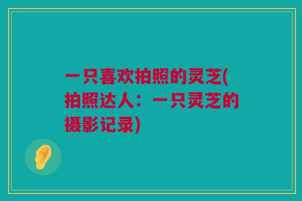一只喜欢拍照的灵芝(拍照达人：一只灵芝的摄影记录)