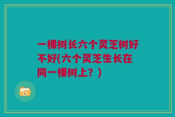 一棵树长六个灵芝树好不好(六个灵芝生长在同一棵树上？)
