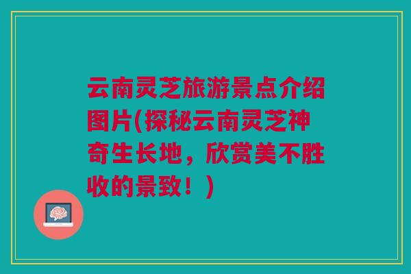云南灵芝旅游景点介绍图片(探秘云南灵芝神奇生长地，欣赏美不胜收的景致！)