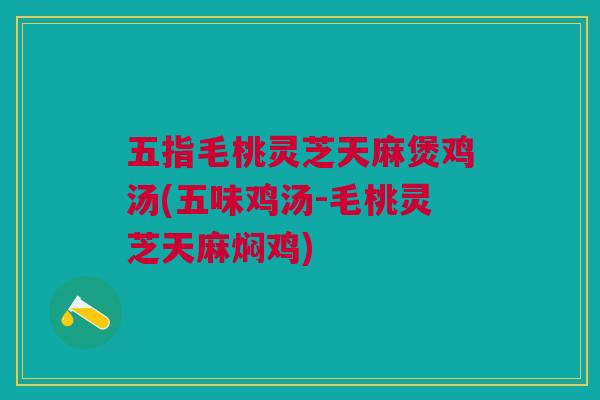 五指毛桃灵芝天麻煲鸡汤(五味鸡汤-毛桃灵芝天麻焖鸡)
