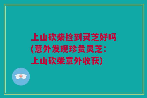 上山砍柴捡到灵芝好吗(意外发现珍贵灵芝：上山砍柴意外收获)