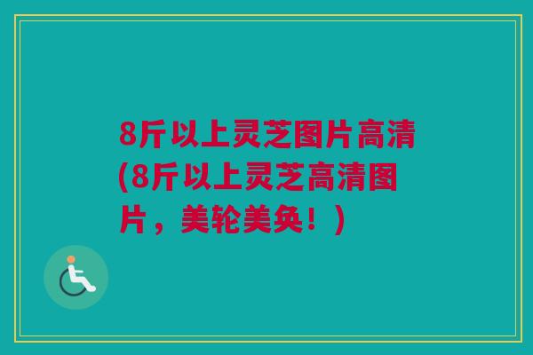 8斤以上灵芝图片高清(8斤以上灵芝高清图片，美轮美奂！)