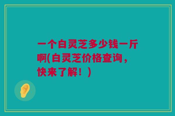 一个白灵芝多少钱一斤啊(白灵芝价格查询，快来了解！)
