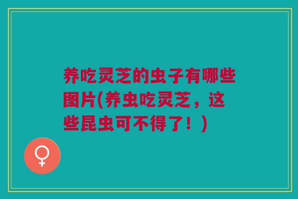 养吃灵芝的虫子有哪些图片(养虫吃灵芝,这些昆虫可不得了!) 养吃灵芝的虫子有哪些图片(养虫吃灵芝,这些昆虫可不得了!)