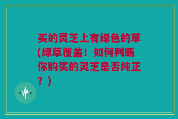 买的灵芝上有绿色的草(绿草覆盖！如何判断你购买的灵芝是否纯正？)