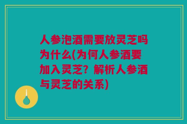 人参泡酒需要放灵芝吗为什么(为何人参酒要加入灵芝？解析人参酒与灵芝的关系)