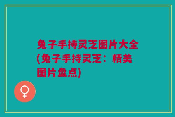 兔子手持灵芝图片大全(兔子手持灵芝：精美图片盘点)