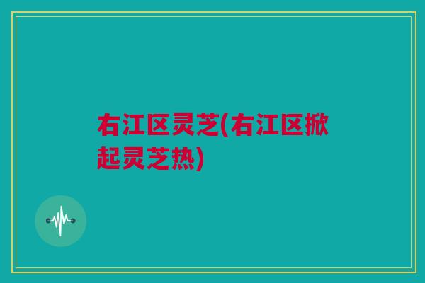 右江区灵芝(右江区掀起灵芝热)