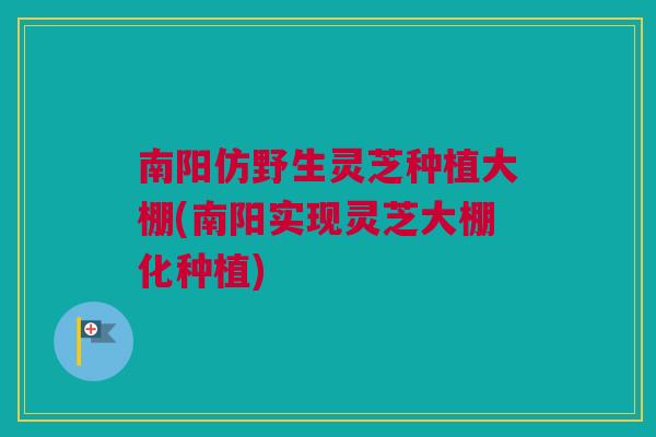 南阳仿野生灵芝种植大棚(南阳实现灵芝大棚化种植)