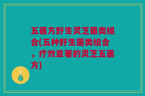 五菌方野生灵芝菌类组合(五种野生菌类组合，疗效显著的灵芝五菌方)