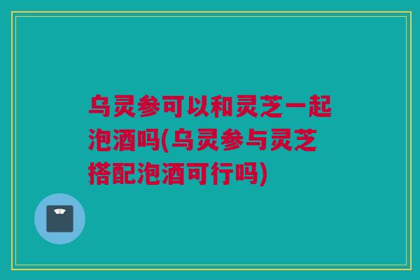 乌灵参可以和灵芝一起泡酒吗(乌灵参与灵芝搭配泡酒可行吗)