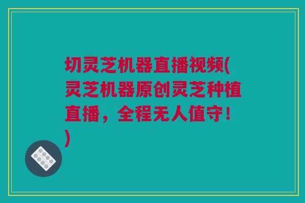 切灵芝机器直播视频(灵芝机器原创灵芝种植直播，全程无人值守！)