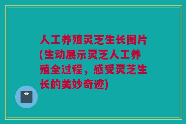 人工养殖灵芝生长图片(生动展示灵芝人工养殖全过程，感受灵芝生长的美妙奇迹)