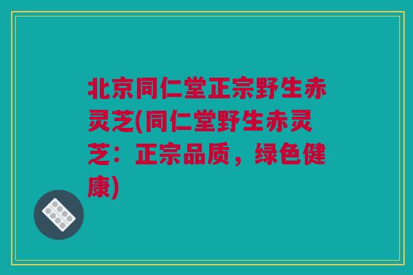 北京同仁堂正宗野生赤灵芝(同仁堂野生赤灵芝:正宗品质,绿色健康) 北京同仁堂正宗野生赤灵芝(同仁堂野生赤灵芝:正宗品质,绿色健康)