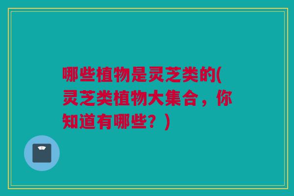哪些植物是灵芝类的(灵芝类植物大集合，你知道有哪些？)