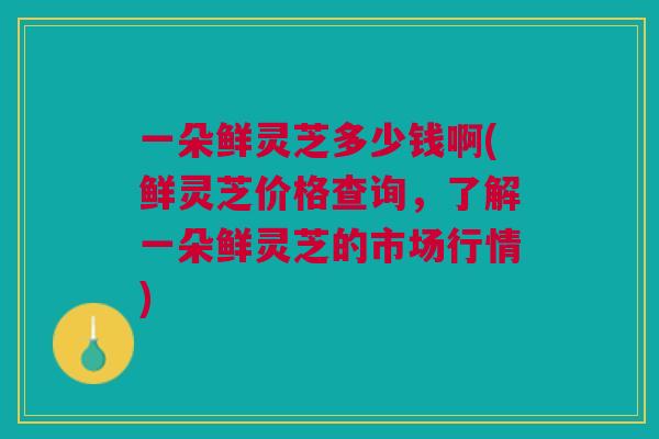 一朵鲜灵芝多少钱啊(鲜灵芝价格查询，了解一朵鲜灵芝的市场行情)