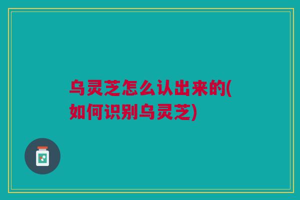 乌灵芝怎么认出来的(如何识别乌灵芝)