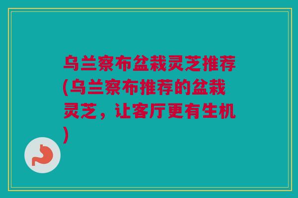 乌兰察布盆栽灵芝推荐(乌兰察布推荐的盆栽灵芝，让客厅更有生机)