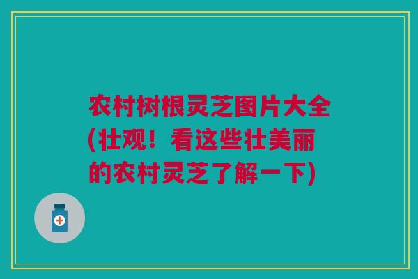 农村树根灵芝图片大全(壮观！看这些壮美丽的农村灵芝了解一下)