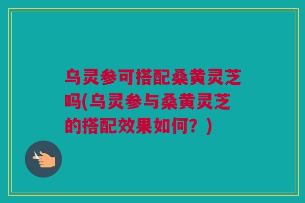乌灵参可搭配桑黄灵芝吗(乌灵参与桑黄灵芝的搭配效果如何？)