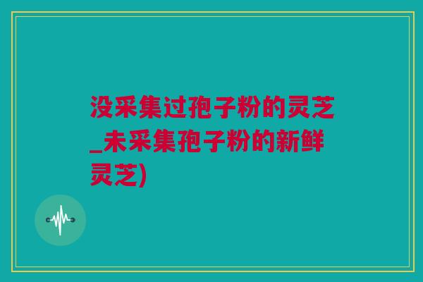 没采集过孢子粉的灵芝_未采集孢子粉的新鲜灵芝)