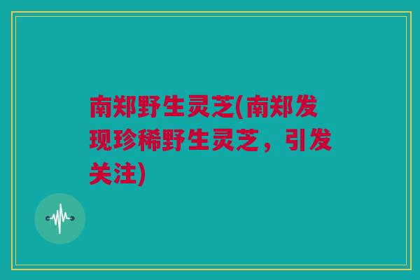 南郑野生灵芝(南郑发现珍稀野生灵芝，引发关注)