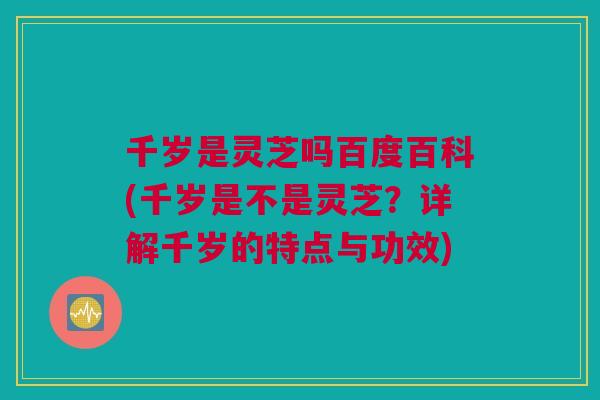 千岁是灵芝吗百度百科(千岁是不是灵芝？详解千岁的特点与功效)