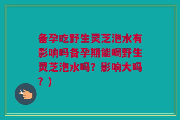 备孕吃野生灵芝泡水有影响吗备孕期能喝野生灵芝泡水吗？影响大吗？)