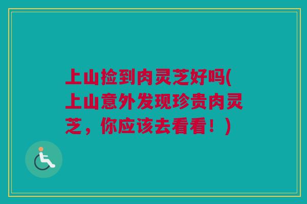 上山捡到肉灵芝好吗(上山意外发现珍贵肉灵芝，你应该去看看！)