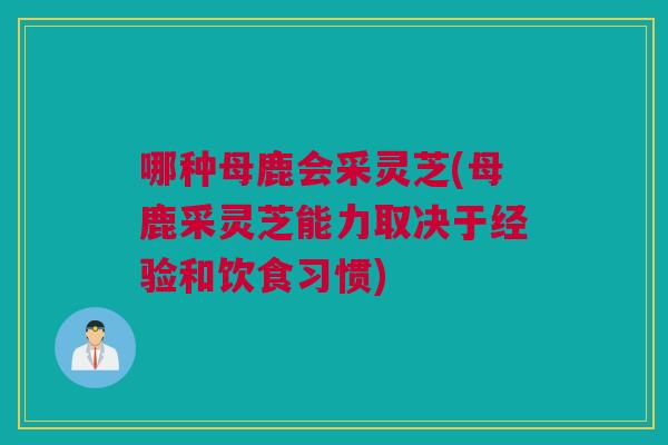 哪种母鹿会采灵芝(母鹿采灵芝能力取决于经验和饮食习惯) 哪种母鹿会采灵芝(母鹿采灵芝能力取决于经验和饮食习惯)