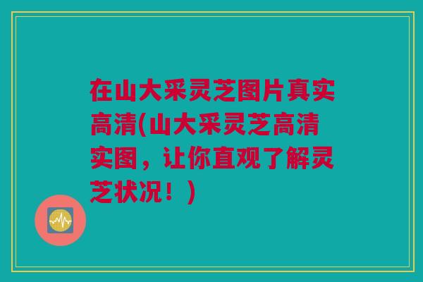在山大采灵芝图片真实高清(山大采灵芝高清实图，让你直观了解灵芝状况！)
