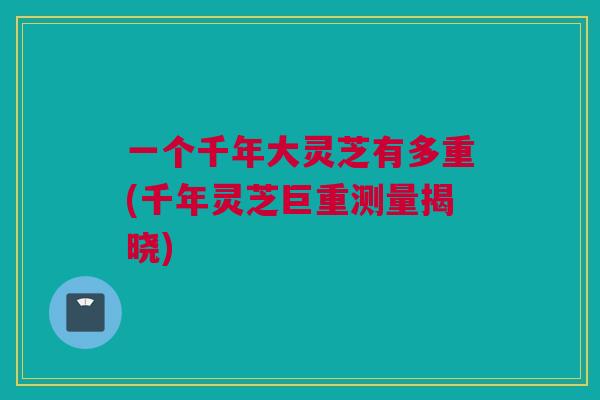 一个千年大灵芝有多重(千年灵芝巨重测量揭晓)