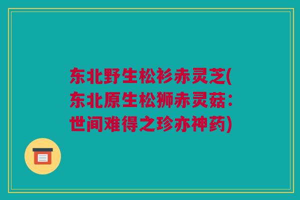 东北野生松衫赤灵芝(东北原生松狮赤灵菇：世间难得之珍亦神药)