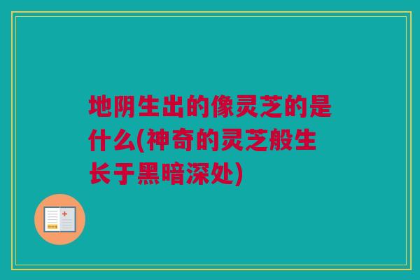 地阴生出的像灵芝的是什么(神奇的灵芝般生长于黑暗深处)