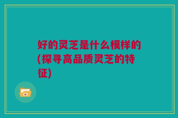好的灵芝是什么模样的(探寻高品质灵芝的特征)