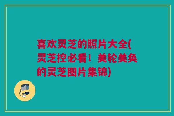 喜欢灵芝的照片大全(灵芝控必看！美轮美奂的灵芝图片集锦)