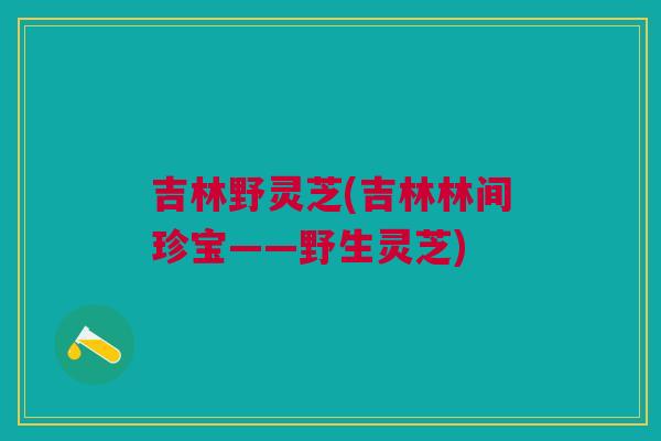 吉林野灵芝(吉林林间珍宝——野生灵芝)
