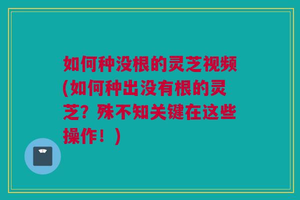 如何种没根的灵芝视频(如何种出没有根的灵芝？殊不知关键在这些操作！)