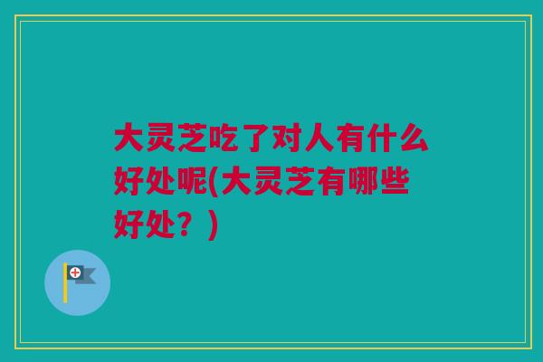 大灵芝吃了对人有什么好处呢(大灵芝有哪些好处？)