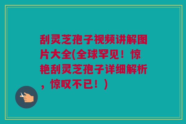 刮灵芝孢子视频讲解图片大全(全球罕见！惊艳刮灵芝孢子详细解析，惊叹不已！)