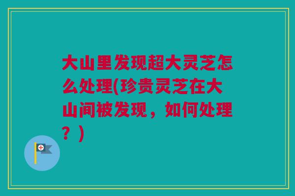 大山里发现超大灵芝怎么处理(珍贵灵芝在大山间被发现，如何处理？)
