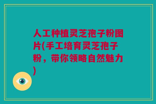 人工种植灵芝孢子粉图片(手工培育灵芝孢子粉，带你领略自然魅力)