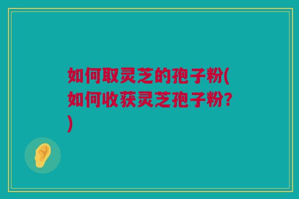 如何取灵芝的孢子粉(如何收获灵芝孢子粉？)